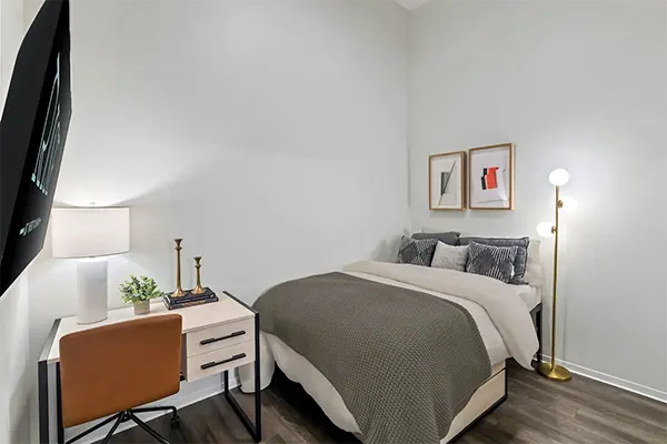 Modern Kitchens with Premium Appliances